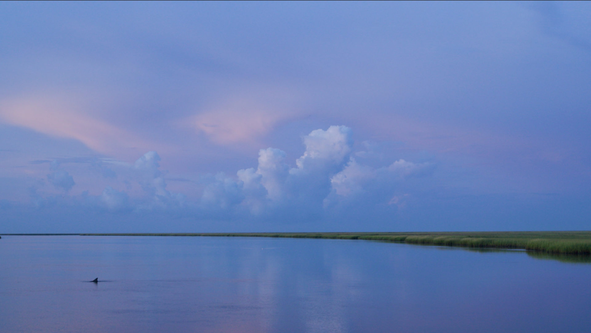 The Water McClellanville Community Foundation